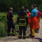 Räddning av större tamdjur