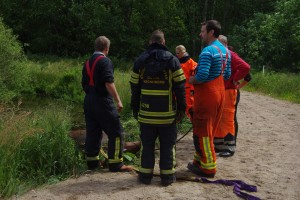 Räddning av större tamdjur