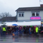 Julmarknad i Fridlevstad