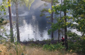 Brand längs Ronnebyån N Långgöl