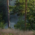 Brand längs Ronnebyån N Långgöl