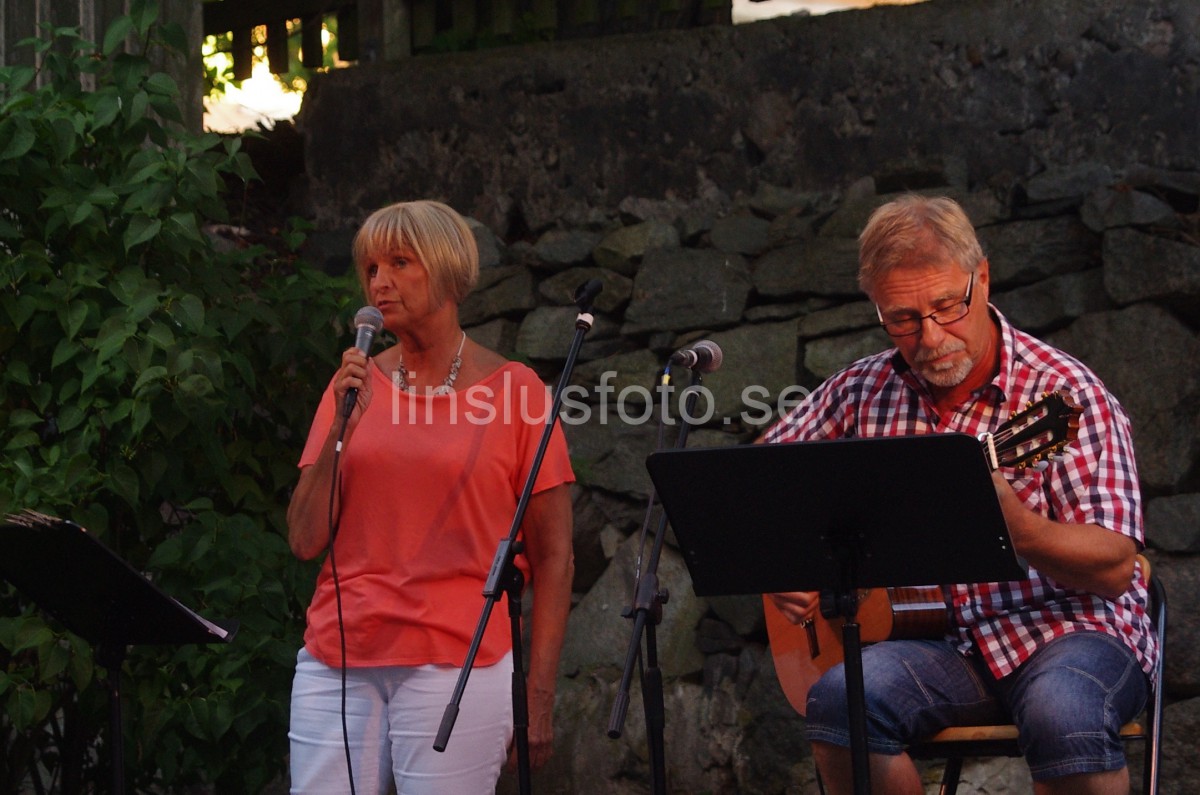 Musik på bakgården m Visans vänner