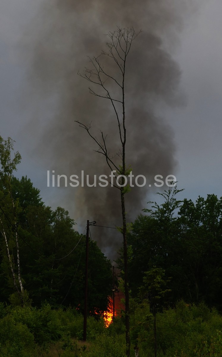 brand05_larum