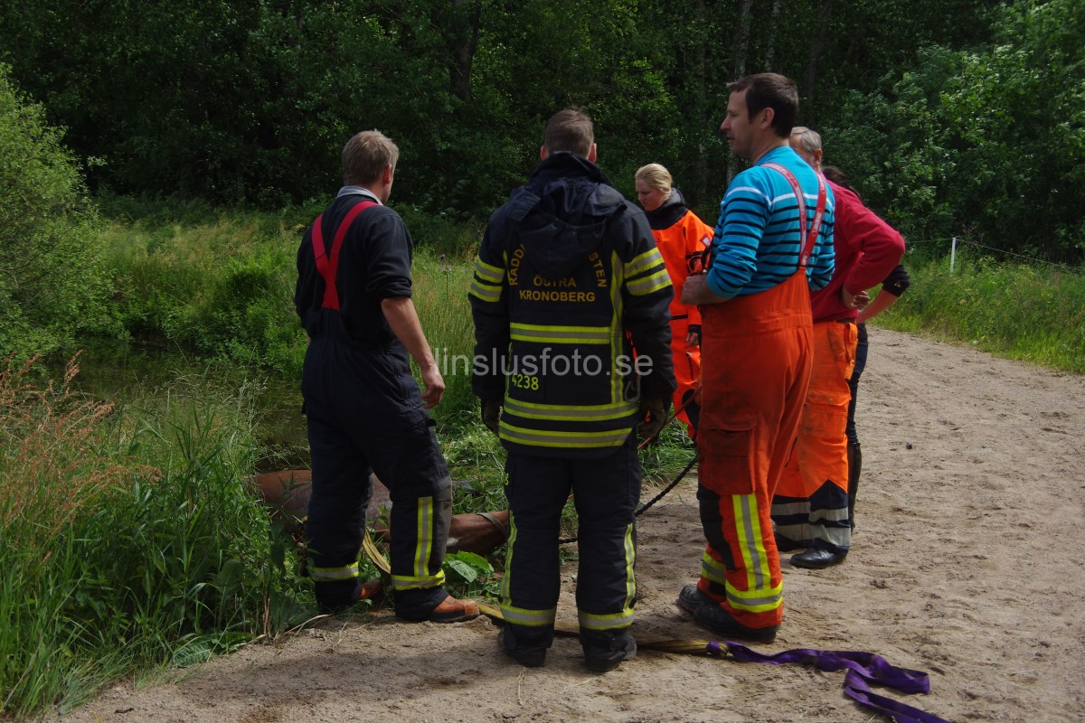 Räddning av större tamdjur